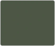 img-ral-7009